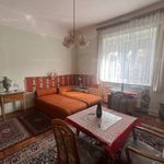 Rent 1 bedroom house of 120 m² in Budapest