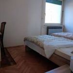 Rent 3 bedroom apartment of 76 m² in Rijeka