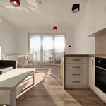 Rent 1 bedroom apartment of 25 m² in Kielce