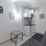 Alquilo 1 dormitorio apartamento de 24 m² en Madrid