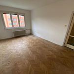 Rent 1 bedroom apartment of 56 m² in Bilina
