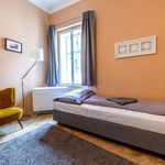 Rent 1 bedroom apartment of 40 m² in Praha