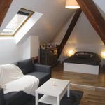 Rent 1 bedroom apartment of 45 m² in Guebwiller