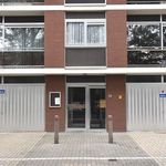 Appartement de 60 m² avec 1 chambre(s) en location à Borsbeek