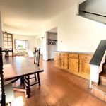 Rent 4 bedroom house of 180 m² in Pietrasanta