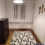 Wynajmij 4 sypialnię apartament z 36 m² w Włocławek