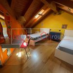 Affitto 1 camera appartamento di 270 m² in Padua
