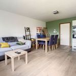 Rent 2 bedroom apartment in Soignies