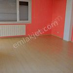 Rent 6 bedroom house of 330 m² in İstanbul