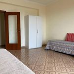 Affitto 4 camera appartamento di 200 m² in Catanzaro