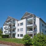 Rent 4 bedroom apartment of 78 m² in Hinwil