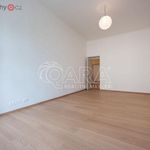 Rent 3 bedroom apartment of 100 m² in Praha