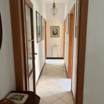 Rent 3 bedroom house of 85 m² in Camaiore
