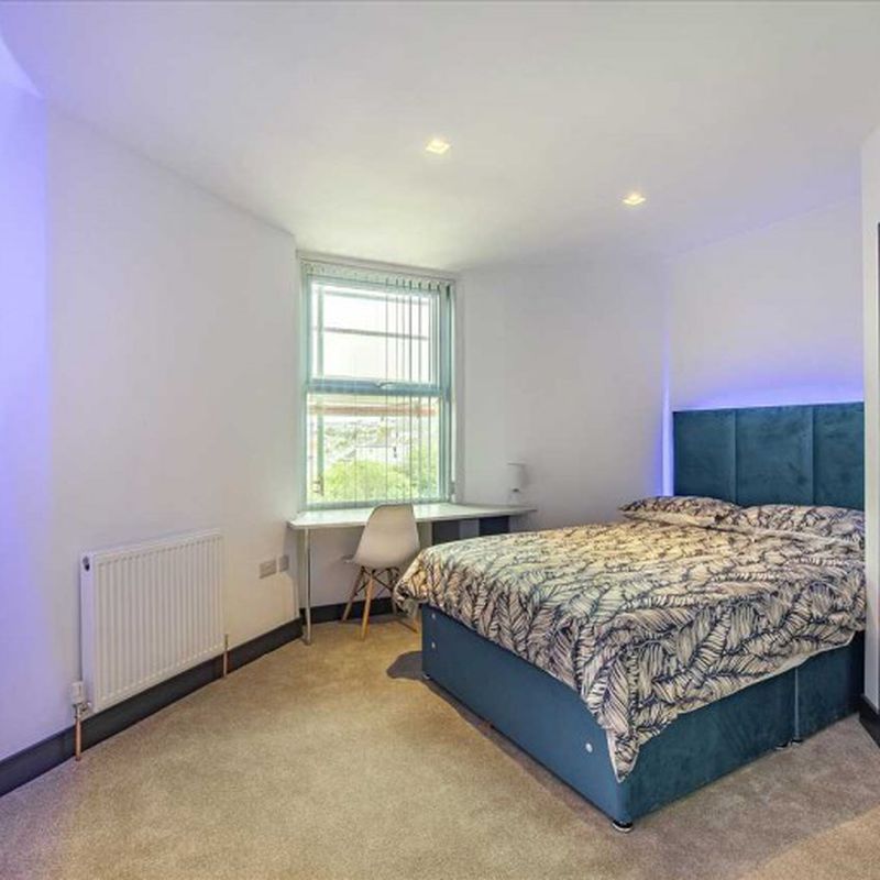 North Road East, Plymouth, 4 bedroom, Apartment Ford Park