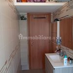 Rent 1 bedroom apartment of 45 m² in Colleferro