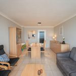 Rent 1 bedroom apartment in Blankenberge