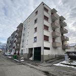 Rent 2 bedroom apartment of 57 m² in Echirolles