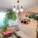 Rent 3 bedroom apartment of 56 m² in Konin
