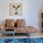 Rent 2 bedroom apartment of 47 m² in Cologne