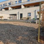 Rent 1 bedroom apartment of 70 m² in Aarschot
