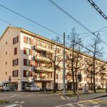 Rent 3 bedroom apartment of 60 m² in Basel