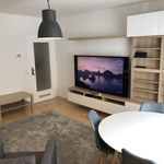 Rent 3 bedroom apartment of 65 m² in Nuremberg