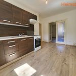 Rent 3 bedroom apartment of 64 m² in Havířov