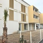 Rent 1 bedroom apartment of 29 m² in Vendargues
