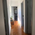 Rent a room of 80 m² in Lisboa