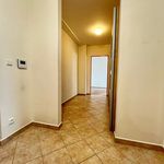 Rent 1 bedroom apartment of 60 m² in Plzeň