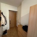 Rent 2 bedroom apartment of 55 m² in Graz