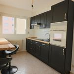 Rent 3 bedroom apartment of 64 m² in Colmar