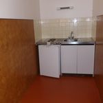 Rent 1 bedroom apartment of 30 m² in Rodez