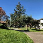 Rent 1 bedroom apartment of 50 m² in Abbotsford