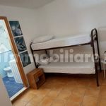 Rent 3 bedroom apartment of 80 m² in Montecorice