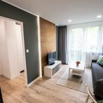 Rent 2 bedroom apartment of 38 m² in Bielsko-biała