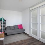 Appartement (85 m²) met 1 slaapkamer in Utrecht