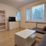 Rent 1 bedroom apartment of 32 m² in Číhošť
