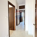Affitto 6 camera appartamento di 120 m² in L'Aquila