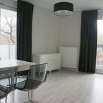 Rent 3 bedroom house of 60 m² in Warszawa