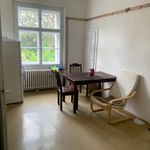 Rent 1 bedroom apartment in Praha 6