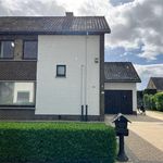 Rent 3 bedroom house of 160 m² in Herselt