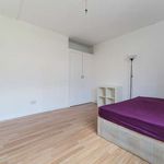 Rent a room of 130 m² in London