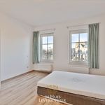 Rent 4 bedroom house of 156 m² in Kontich