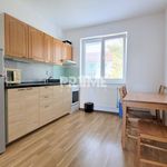 Rent 2 bedroom apartment of 55 m² in Konstantinovy Lázně