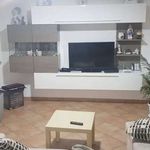 Rent 3 bedroom apartment of 60 m² in Montelepre