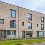 Rent 4 bedroom house of 114 m² in Vlaardingen