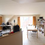 Rent 1 bedroom apartment in Hamme
