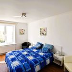 Huur 2 slaapkamer appartement van 66 m² in Brugge