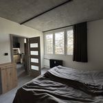 Rent 1 bedroom apartment of 70 m² in Frýdek-Místek